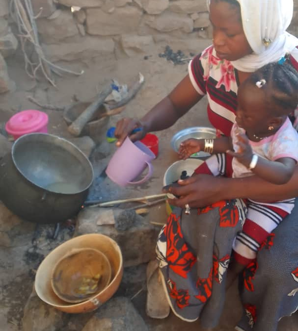 TEMOIGNAGE DE CAS DE SUCCES DU PROJET DE PREVENTION CONTRE LA MALNUTRITION AIGUE DANS LE DISTRICT SANITAIRE DE BANDIAGARA