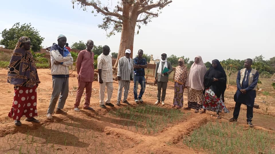 Mission de supervision (Changement climatique)